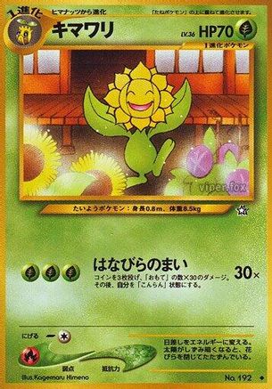 Sunflora - Gold Silver to a New World