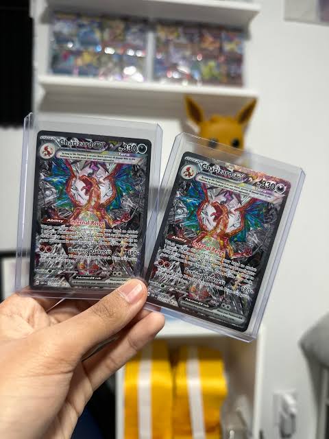 Pokemon Raw