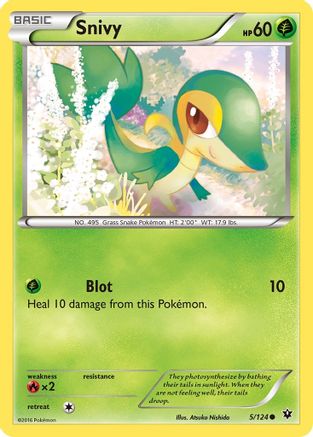 Snivy 005/124  - Reverse Holofoil XY  Fates Collide - Common